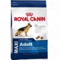 Maxi Adult 4 kg